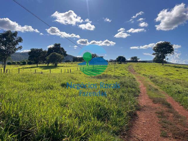 #518 - Chácara para Venda em Porangatu - GO - 1