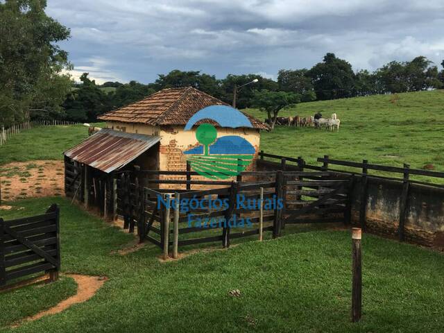 Fazenda para Venda em Lavras - 4