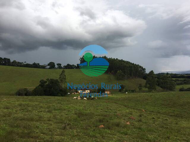 Fazenda para Venda em Lavras - 3