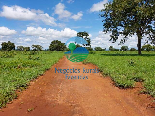 #521 - Fazenda para Venda em Gurupi - TO - 1