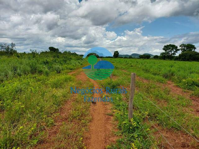 Fazenda para Venda em Gurupi - 4