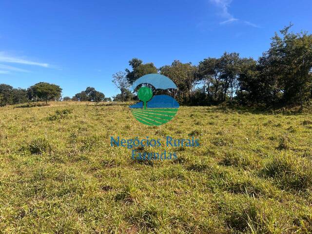#526 - Fazenda para Venda em Mara Rosa - GO - 3