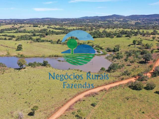 #526 - Fazenda para Venda em Mara Rosa - GO - 2
