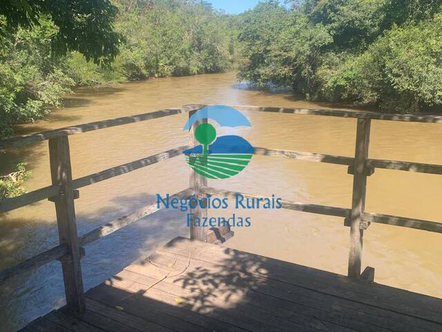 #527 - Fazenda para Venda em Santa Cruz de Goiás - GO - 2