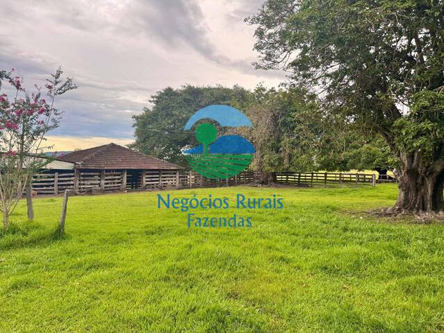 #528 - Fazenda para Venda em Crixás - GO - 1