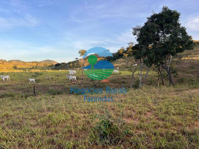 #529 - Fazenda para Venda em Campinaçu - GO - 3