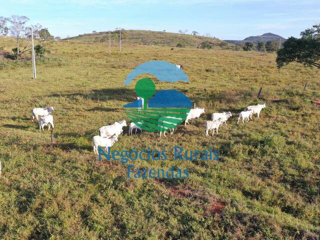 #529 - Fazenda para Venda em Campinaçu - GO - 2