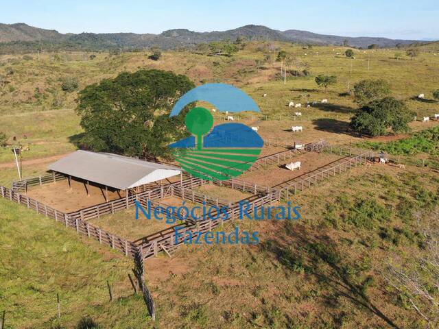 #529 - Fazenda para Venda em Campinaçu - GO - 1