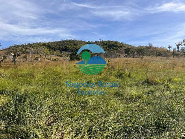 #531 - Fazenda para Venda em Campinaçu - GO - 3