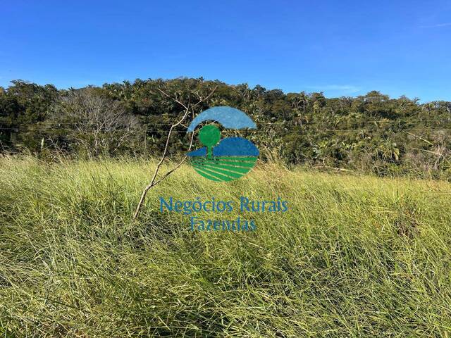 #531 - Fazenda para Venda em Campinaçu - GO - 2