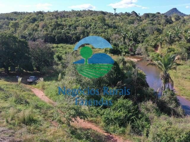 #531 - Fazenda para Venda em Campinaçu - GO - 1