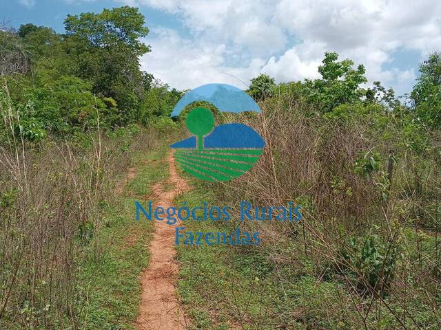 #532 - Fazenda para Venda em Campinaçu - GO - 2