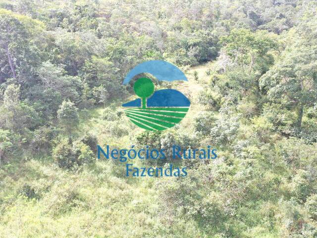 Fazenda para Venda em Campinaçu - 5