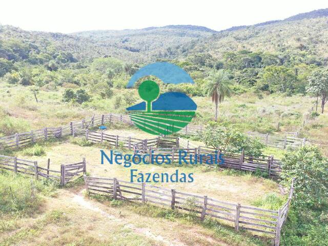 #532 - Fazenda para Venda em Campinaçu - GO - 3