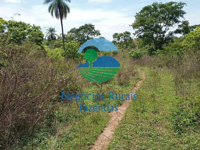 #532 - Fazenda para Venda em Campinaçu - GO - 1