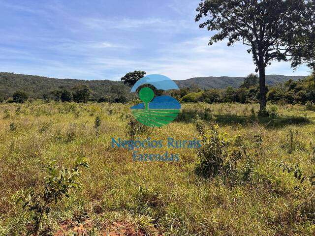 Fazenda para Venda em Campinaçu - 4