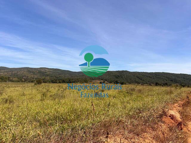 #533 - Fazenda para Venda em Campinaçu - GO - 2