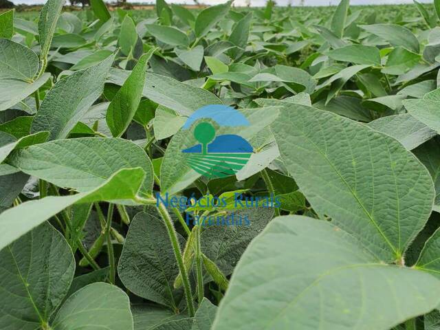 #534 - Fazenda para Venda em Brasília - DF - 2