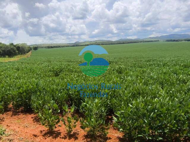 #535 - Fazenda para Venda em Padre Bernardo - GO - 3