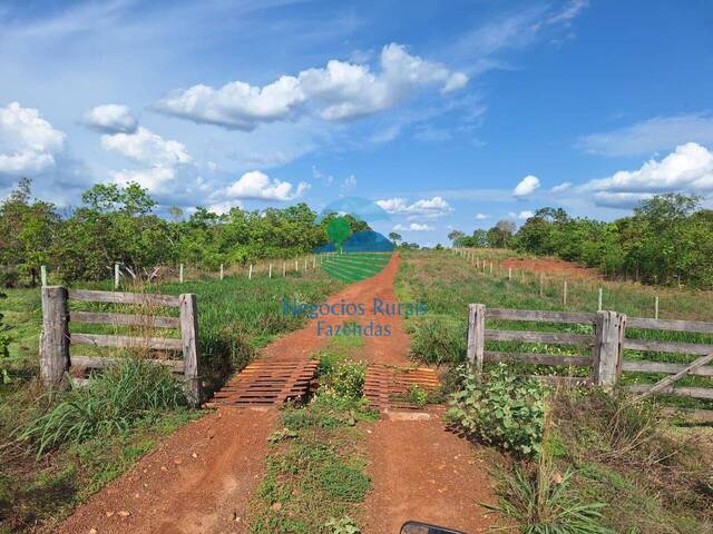 #536 - Fazenda para Venda em Paranã - TO - 3