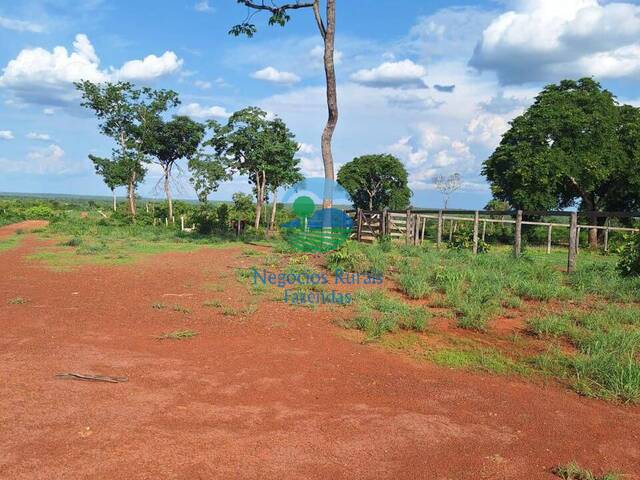 #536 - Fazenda para Venda em Paranã - TO - 2