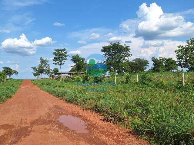#536 - Fazenda para Venda em Paranã - TO - 1