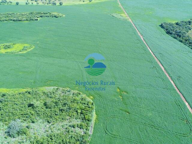 #537 - Fazenda para Venda em Gurupi - TO - 1