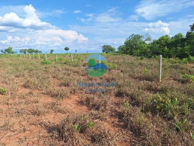 #537 - Fazenda para Venda em Gurupi - TO - 3