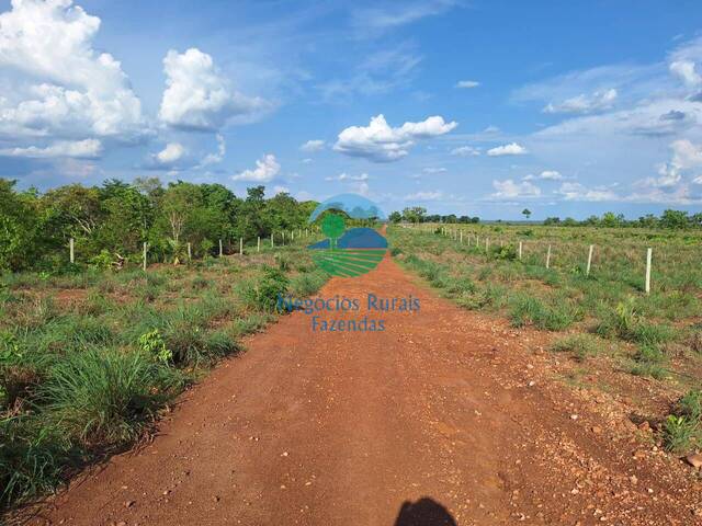 Fazenda para Venda em Gurupi - 5