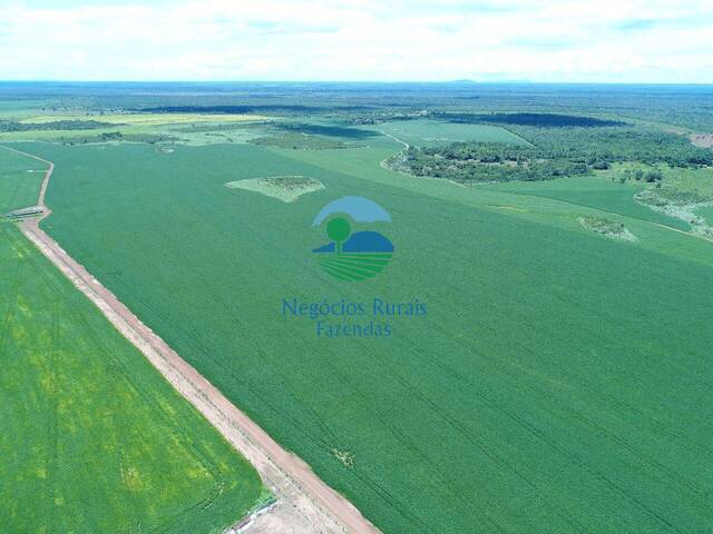 Fazenda para Venda em Gurupi - 4