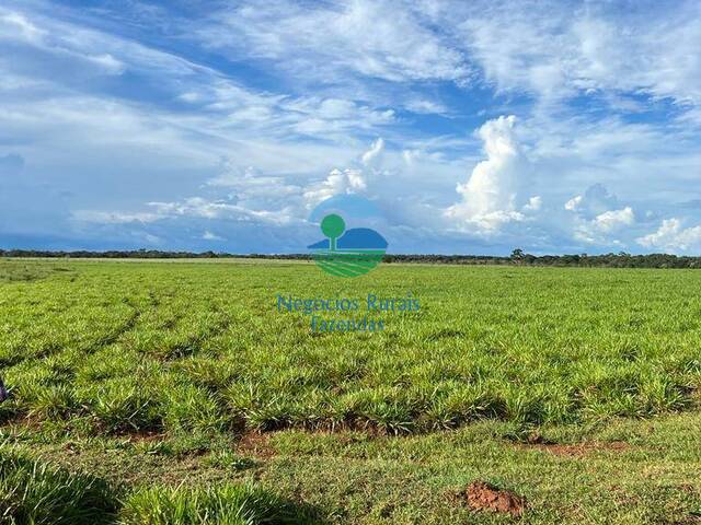 #538 - Fazenda para Venda em Cristalândia - TO - 2