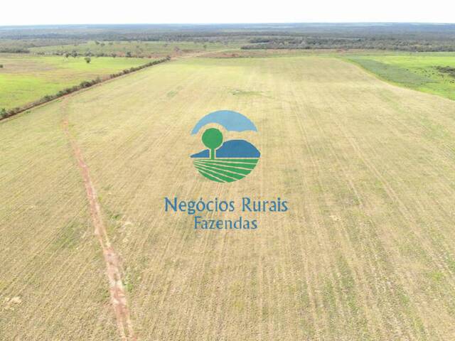Fazenda para Venda em Cristalândia - 5