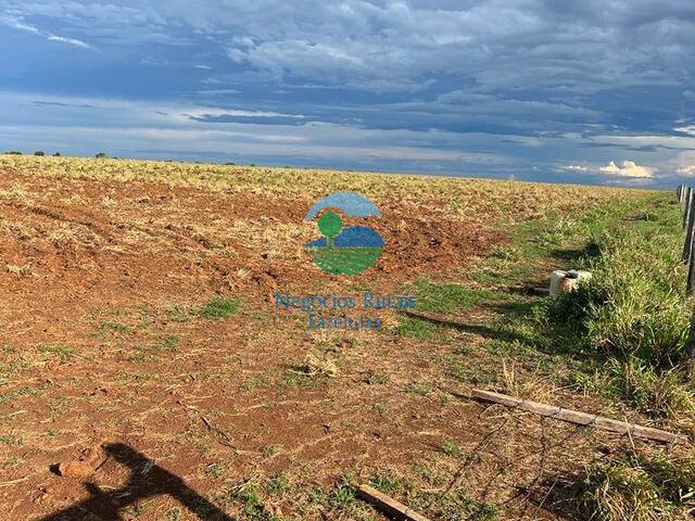 Fazenda para Venda em Cristalândia - 4