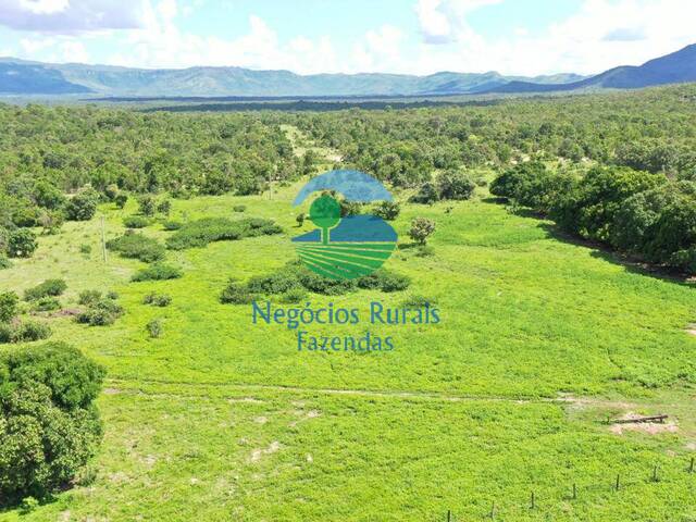 #539 - Fazenda para Venda em Paranã - TO - 1