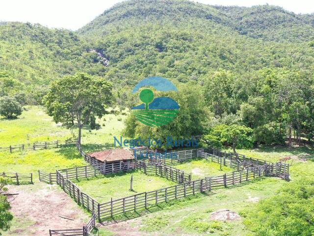 #539 - Fazenda para Venda em Paranã - TO - 3