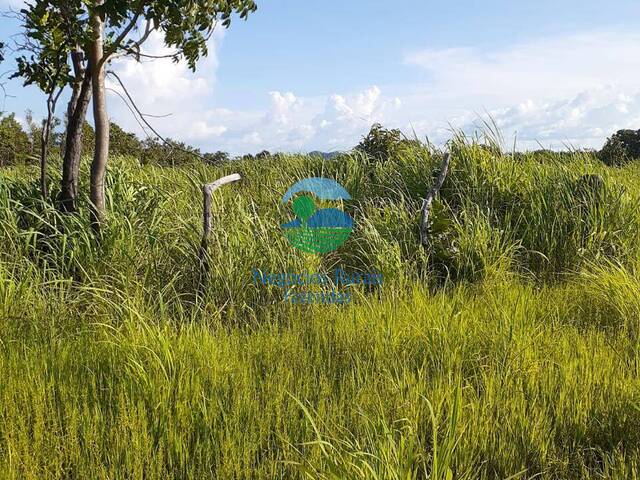 #540 - Fazenda para Venda em Taipas do Tocantins - TO