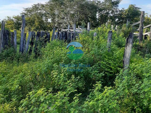 #540 - Fazenda para Venda em Taipas do Tocantins - TO