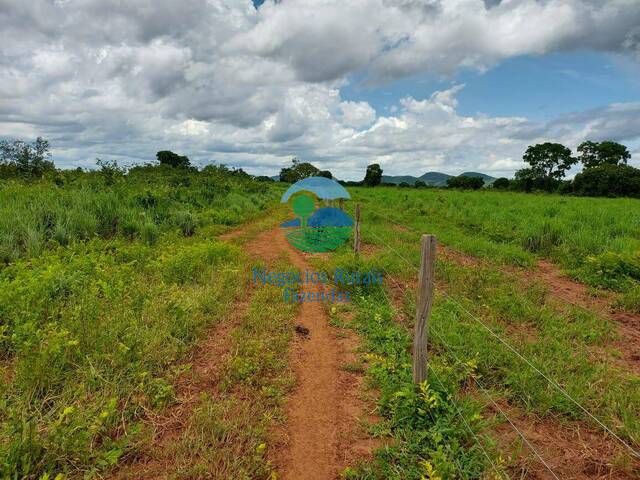 #541 - Fazenda para Venda em Gurupi - TO - 1