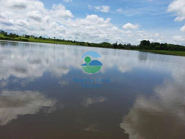 #541 - Fazenda para Venda em Gurupi - TO - 3