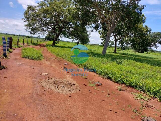 #541 - Fazenda para Venda em Gurupi - TO - 2