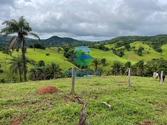 #519 - Fazenda para Venda em Formoso - GO - 2