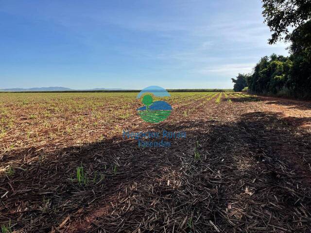 #542 - Fazenda para Venda em Goianésia - GO - 2
