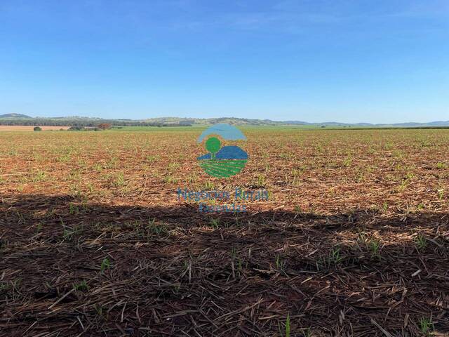 Fazenda para Venda em Goianésia - 4
