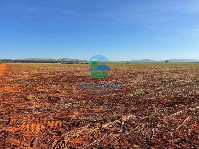 #542 - Fazenda para Venda em Goianésia - GO - 3