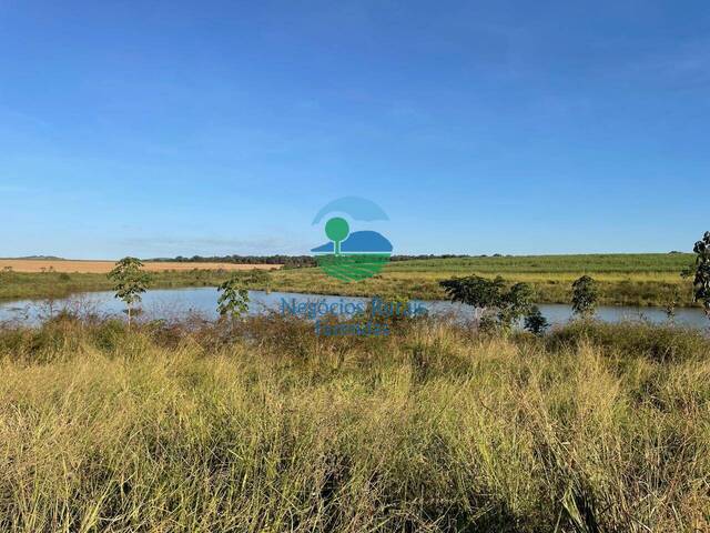 Fazenda para Venda em Goianésia - 5