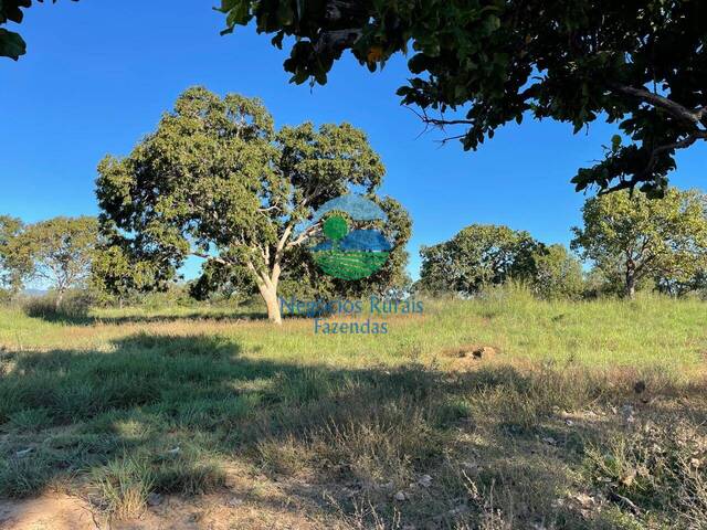 #543 - Fazenda para Venda em Formoso - GO - 3