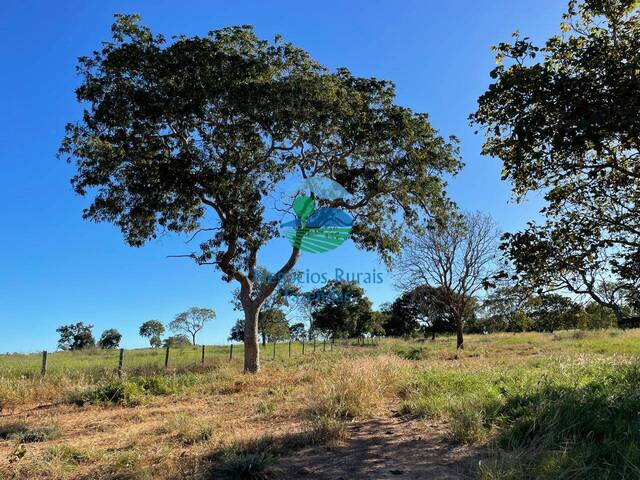 Fazenda para Venda em Formoso - 4