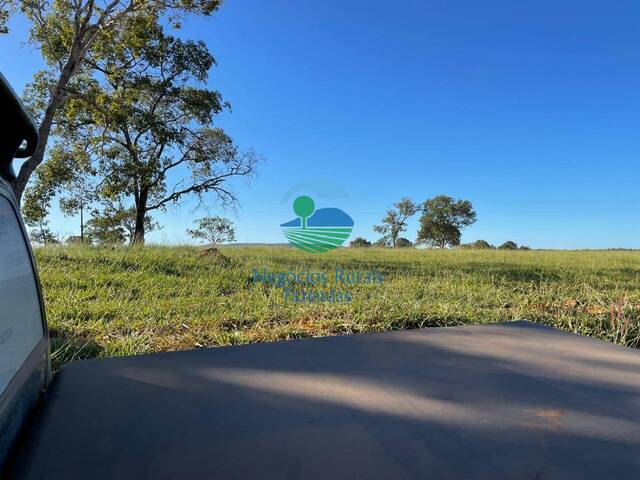 Fazenda para Venda em Formoso - 5