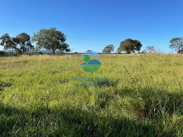 #543 - Fazenda para Venda em Formoso - GO - 1