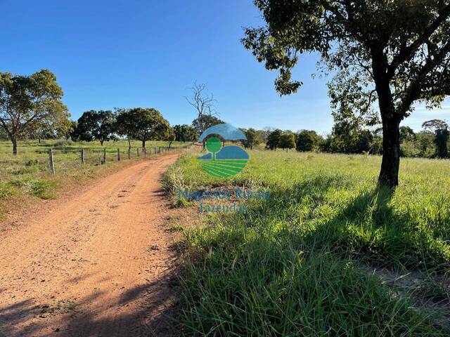 #543 - Fazenda para Venda em Formoso - GO - 2